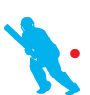 Teddington Sports Cricket Affiliates Teddington Sports Cricket Affiliates
