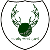 Teddington Sports Affiliate bushy park girls