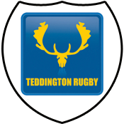 Teddington Sports Affiliate Teddington Town CC